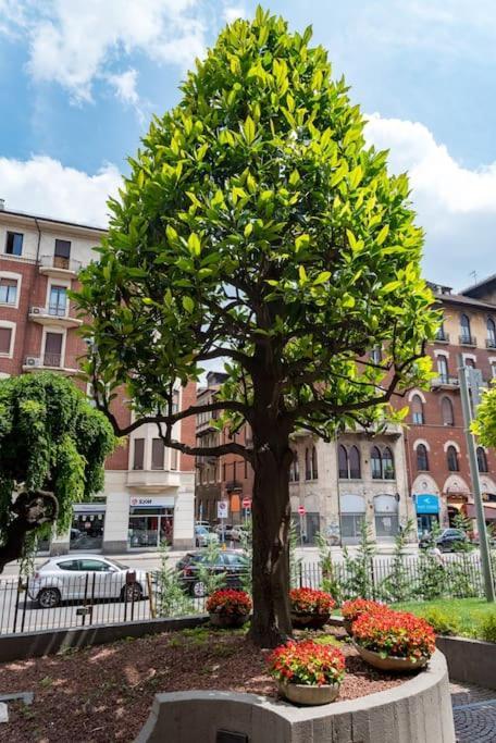 Comfort Zone - Mole Suite Turin Exterior foto
